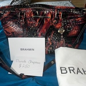Brahmin mini asher